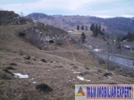 teren-5000-mp-intravilan-rucar-8
