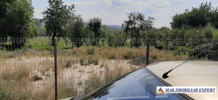 teren-economic-1300-mp-intravilan-campulung-5