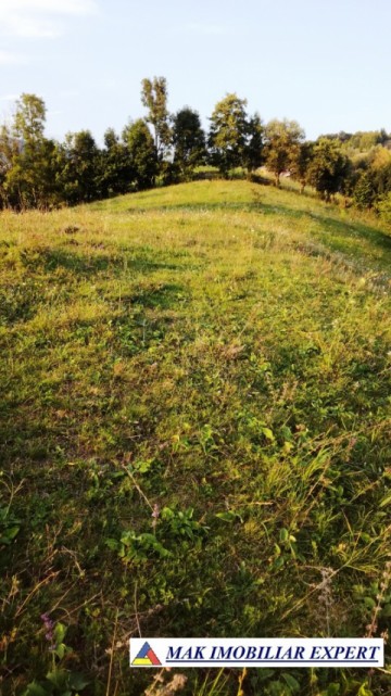teren-intravilan-9000-mp-de-vanzare-rucar-arges-ideal-pentru-proiecte-turistice-sau-rezidentiale-0