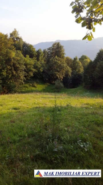 teren-intravilan-9000-mp-de-vanzare-rucar-arges-ideal-pentru-proiecte-turistice-sau-rezidentiale-2
