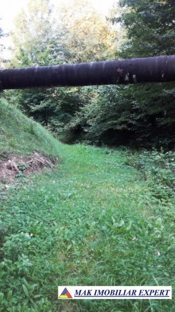 teren-intravilan-9000-mp-de-vanzare-rucar-arges-ideal-pentru-proiecte-turistice-sau-rezidentiale-5