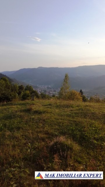 teren-intravilan-9000-mp-de-vanzare-rucar-arges-ideal-pentru-proiecte-turistice-sau-rezidentiale-3