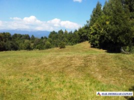 teren-de-vanzare-2500-mp-extravilan-in-valea-barbusii-chilii-campulung-muscel-arges-ideal-pentru-agricultura-1
