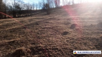 teren-6500-mp-intravilan-bughea-de-jos-4