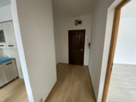apartament-2-camere-ion-mihalache-3