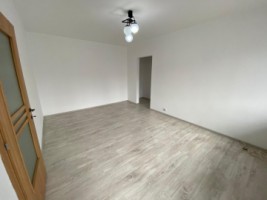 apartament-2-camere-ion-mihalache-10