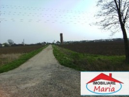 teren-pentru-constructii-de-vanzare-in-satu-mare