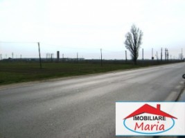 teren-pentru-constructii-de-vanzare-in-satu-mare-3
