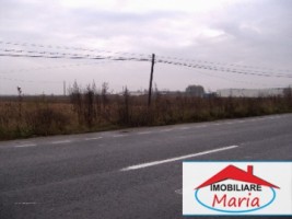 teren-pentru-constructii-de-vanzare-in-satu-mare