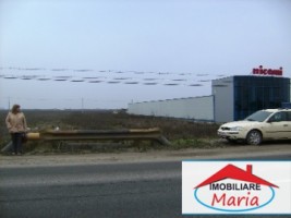 teren-pentru-constructii-de-vanzare-in-satu-mare-1