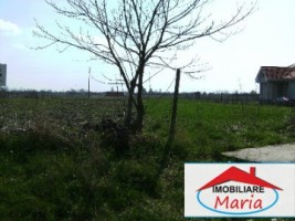 teren-pentru-constructii-de-vanzare-in-satu-mare-vetis-1