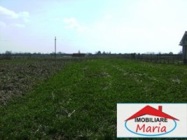 teren-pentru-constructii-de-vanzare-in-satu-mare-vetis-2