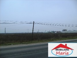 teren-pentru-constructii-de-vanzare-in-satu-mare
