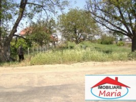 teren-pentru-constructii-de-vanzare-in-satu-mare