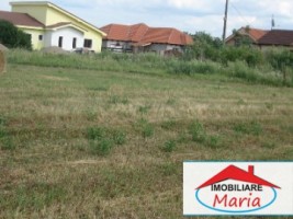 teren-pentru-constructii-de-vanzare-in-satu-mare