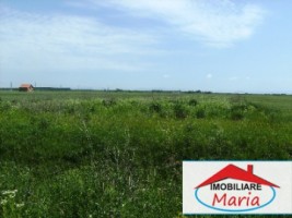 teren-agricol-de-vanzare-in-satu-mare-lazuri