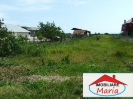 teren-pentru-constructii-de-vanzare-in-satu-mare-lazuri
