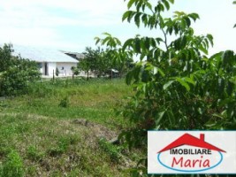 teren-pentru-constructii-de-vanzare-in-satu-mare-lazuri-2