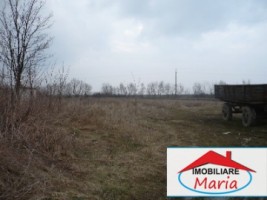 teren-pentru-constructii-de-vanzare-in-satu-mare-amati