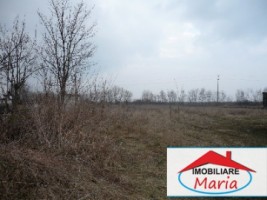 teren-pentru-constructii-de-vanzare-in-satu-mare-amati-1