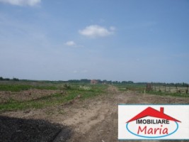 teren-pentru-constructii-de-vanzare-in-satu-mare