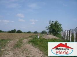 teren-agricol-de-vanzare-in-satu-mare