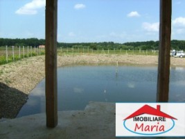 teren-pentru-constructii-de-vanzare-in-satu-mare-1