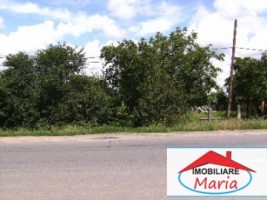teren-pentru-constructii-de-vanzare-in-satu-mare