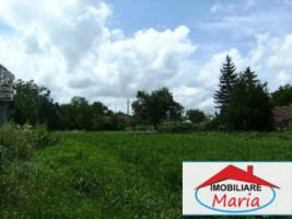 teren-pentru-constructii-de-vanzare-in-satu-mare-2