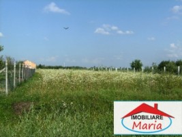 teren-pentru-constructii-de-vanzare-in-satu-mare
