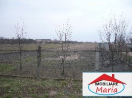 teren-pentru-constructii-de-vanzare-in-satu-mare-lazuri