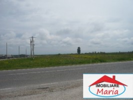 teren-pentru-constructii-de-vanzare-in-satu-mare-1
