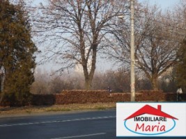teren-pentru-constructii-de-vanzare-in-satu-mare-2