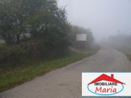 teren-pentru-constructii-de-vanzare-in-satu-mare-ardud-1