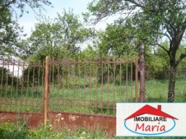 teren-pentru-constructii-de-vanzare-in-satu-mare-viile-satu-mare-1