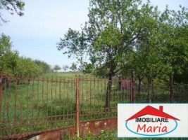 teren-pentru-constructii-de-vanzare-in-satu-mare-viile-satu-mare-2