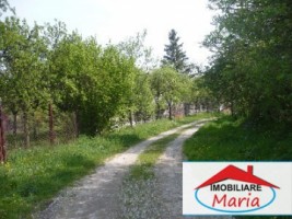 teren-pentru-constructii-de-vanzare-in-satu-mare-viile-satu-mare-3