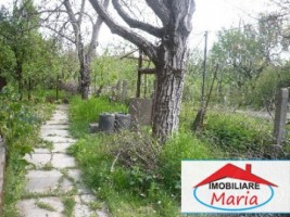 teren-agricol-de-vanzare-in-satu-mare-1