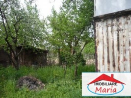 teren-agricol-de-vanzare-in-satu-mare-2