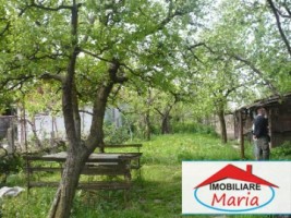 teren-agricol-de-vanzare-in-satu-mare-3