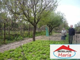 teren-agricol-de-vanzare-in-satu-mare-4
