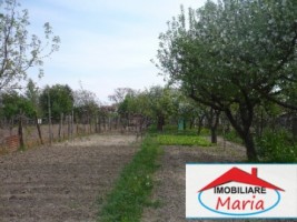 teren-agricol-de-vanzare-in-satu-mare-5