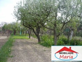 teren-agricol-de-vanzare-in-satu-mare-6
