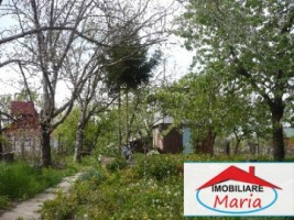 teren-agricol-de-vanzare-in-satu-mare-7