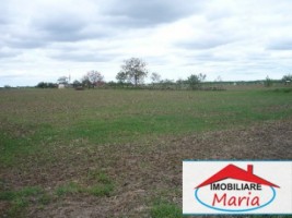 teren-pentru-constructii-de-vanzare-in-satu-mare-1