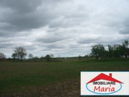 teren-pentru-constructii-de-vanzare-in-satu-mare-2