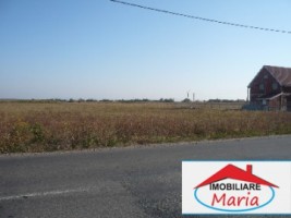 teren-pentru-constructii-de-vanzare-in-satu-mare-botiz-1