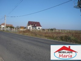 teren-pentru-constructii-de-vanzare-in-satu-mare-botiz-3