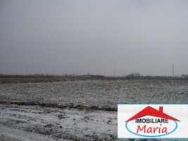 teren-pentru-constructii-de-vanzare-in-satu-mare-1