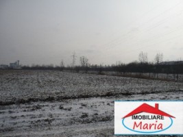 teren-pentru-constructii-de-vanzare-in-satu-mare-2